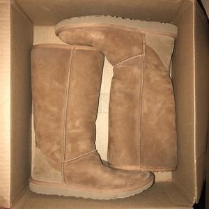 Tall chestnut UGGS